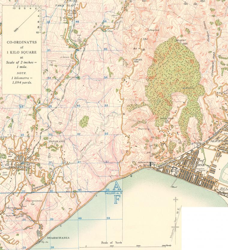 horokiwi_map_1913.jpg
